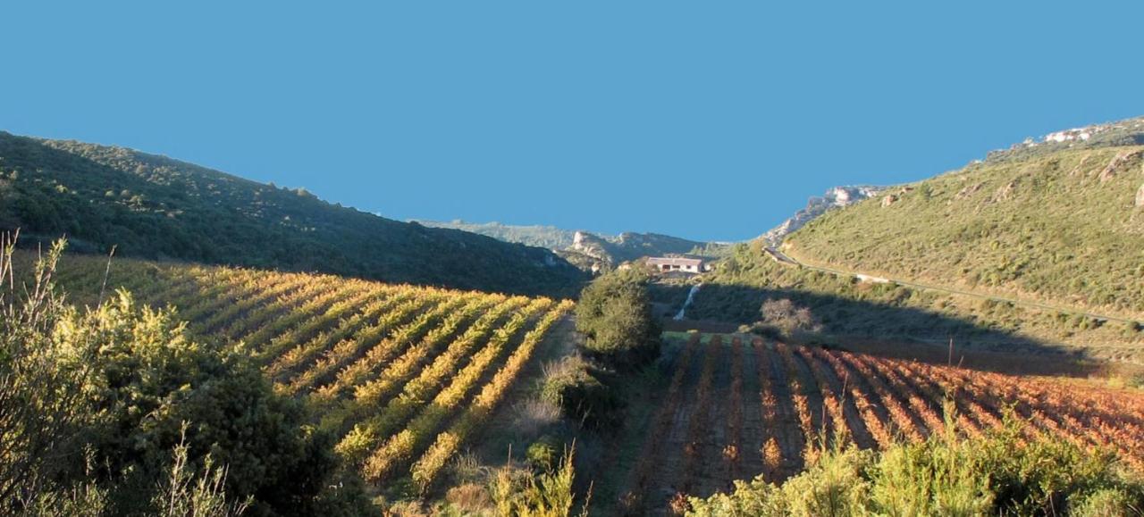 Gite Dans Ancienne Bergerie En Pleine Garrigue Fraisse-des-Corbieres Exterior photo